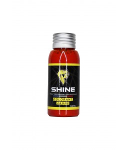 Shine - Colorant pour mousse active