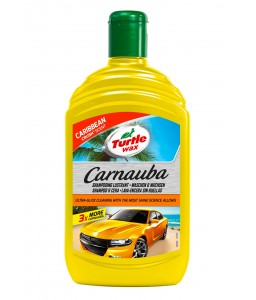 53335CARNAUBA WASH & WAXTurtle Wax