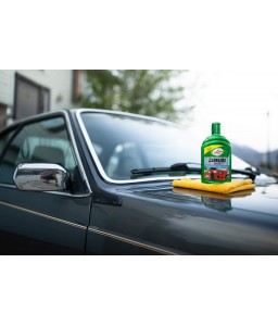 52857CARNAUBA CAR WAXTurtle Wax